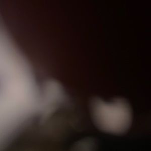 Meet your Posher, Jose pascual